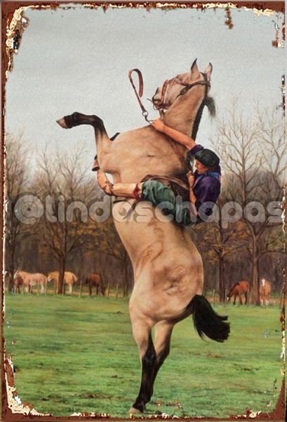 Argentina / Rural